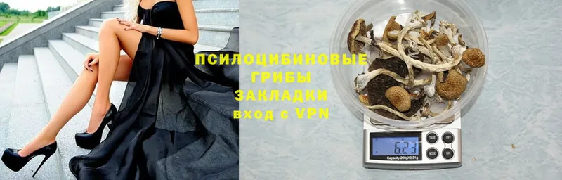 Галлюциногенные грибы GOLDEN TEACHER Кинешма